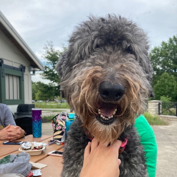 Meet your Posher, Joann - Picture 1 of 1